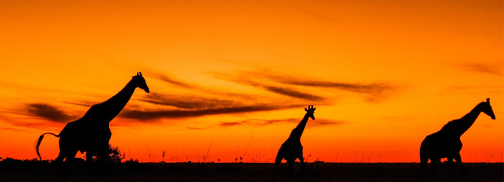 African sunset