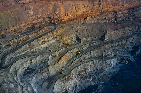 Plants for the Baioni quarry